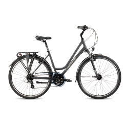ROWER UNIBIKE VISION LDS SZARY 2025